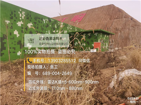 锦州星空迷彩墙施工队