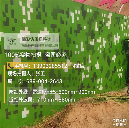 锦州星空迷彩漆，夏令营训练,数码迷彩作训墙,围墙